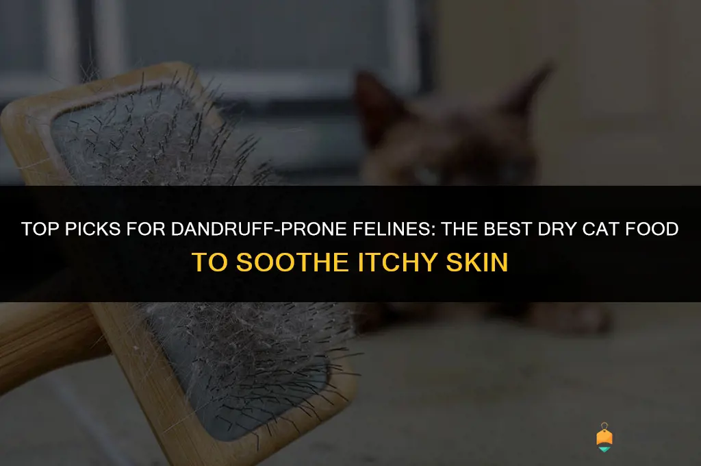 best dry cat food for dandruff