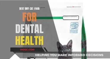 Promoting Feline Dental Health: Top Dry Cat Food Choices for a Healthy Smile