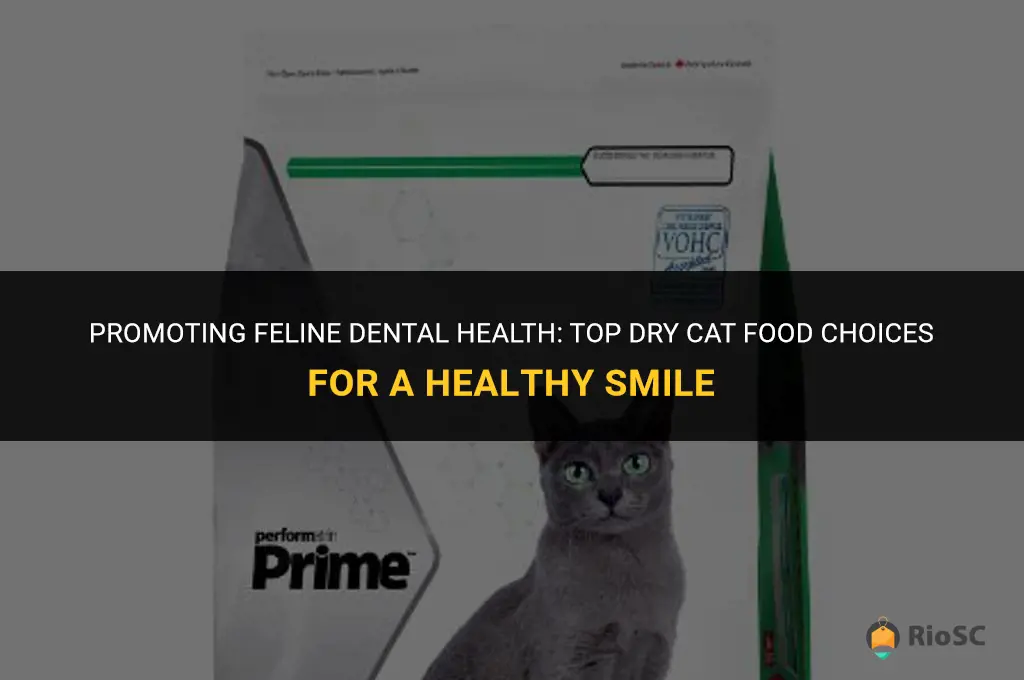 best dry cat food for dental health