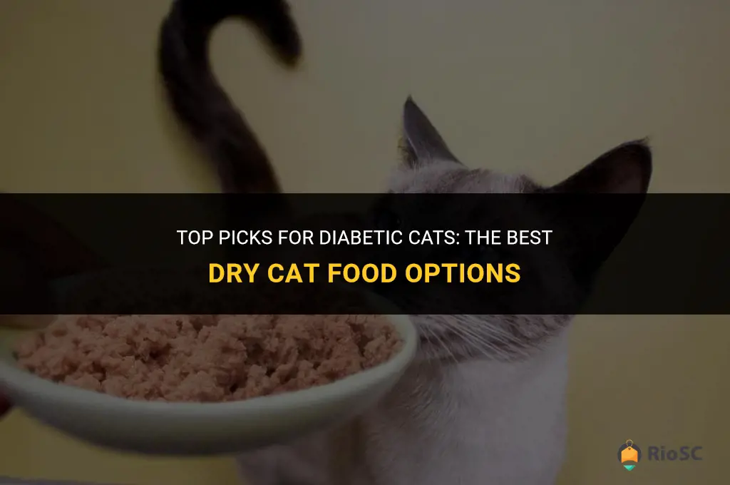 best dry cat food for diabetic cat