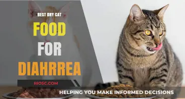 Top Picks for Soothing Dry Cat Food to Help Manage Diarrhea