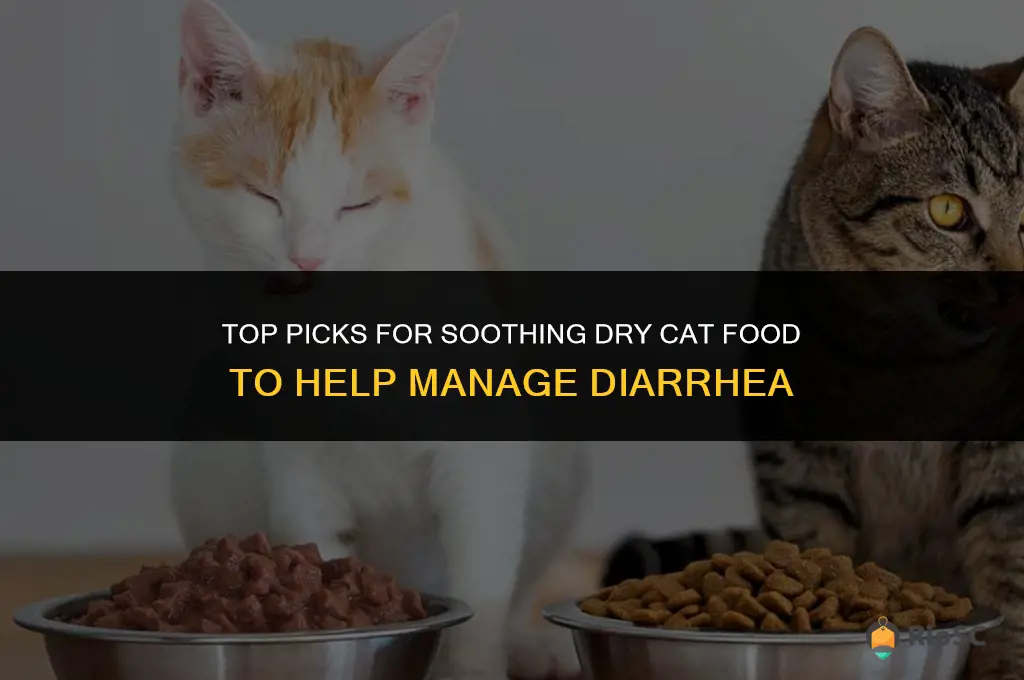 best dry cat food for diahrrea