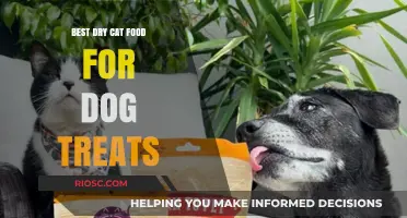 Purr-fectly Safe: Top Dry Cat Food Picks That Double as Dog Treats