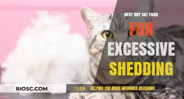 Top Picks for Dry Cat Food to Combat Excessive Shedding