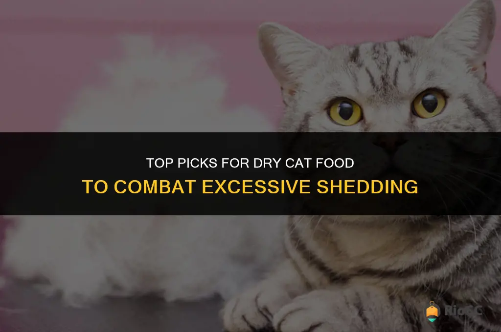 best dry cat food for excessive shedding