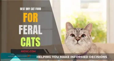 Top Picks for Feral Feline Nutrition: The Best Dry Cat Food Options
