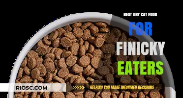 Top Picks for Picky Eaters: The Best Dry Cat Food to Satisfy Your Fussy Feline