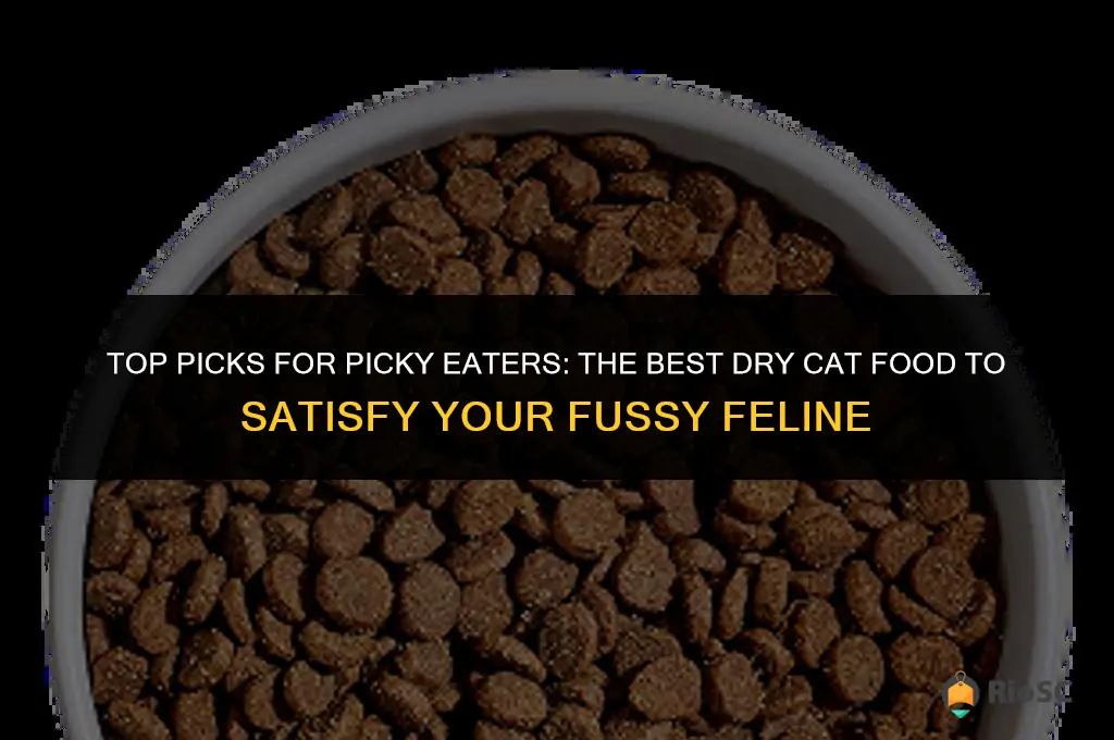 best dry cat food for finicky eaters