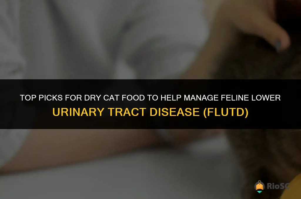 best dry cat food for flutd