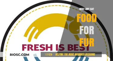 Purr-fectly Nourished: Top Dry Cat Food Choices for a Lustrous Coat