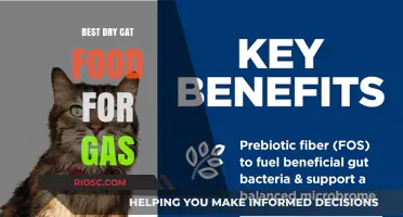 Top Picks for Taming Tummies: The Best Dry Cat Food to Combat Gas