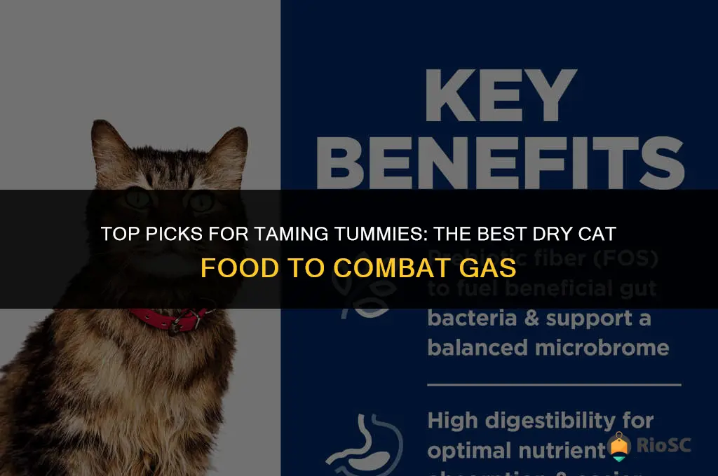 best dry cat food for gas