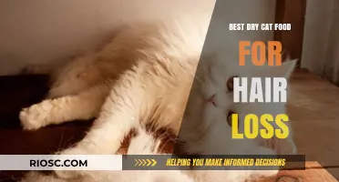Top Picks for Dry Cat Food to Combat Hair Loss: A Comprehensive Guide