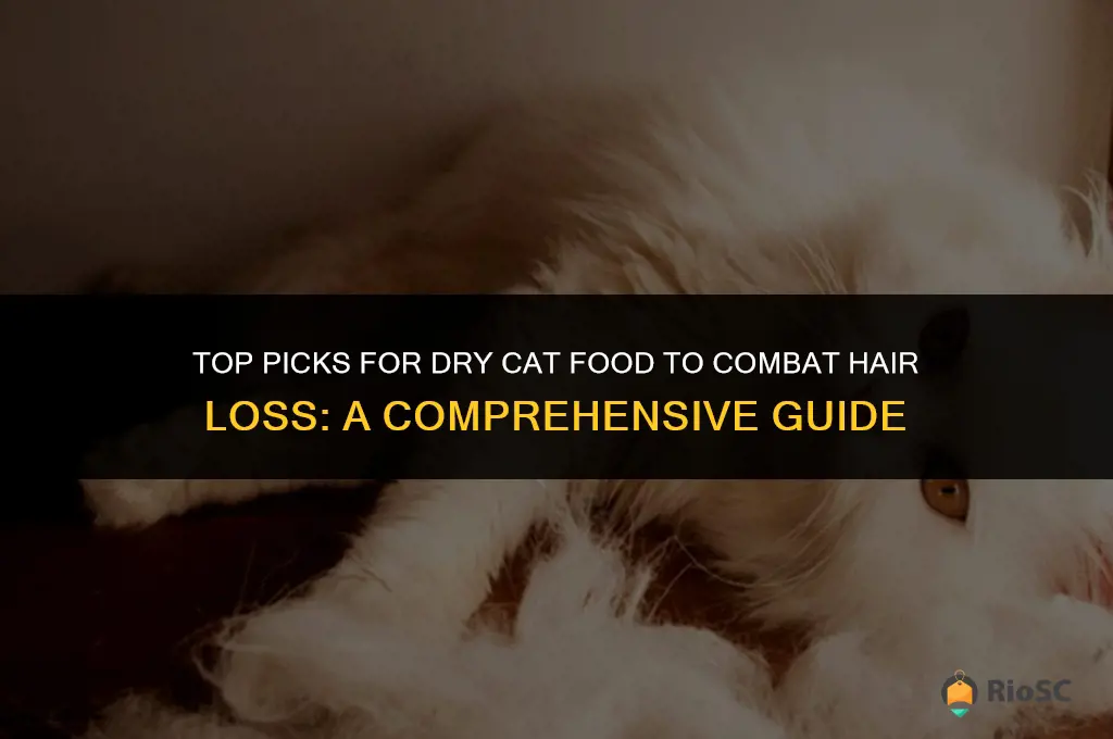best dry cat food for hair loss