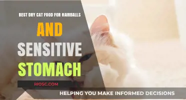 Top Picks for Dry Cat Food: Hairball Prevention and Sensitive Stomach Support