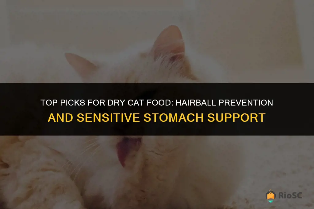 best dry cat food for hairballs and sensitive stomach