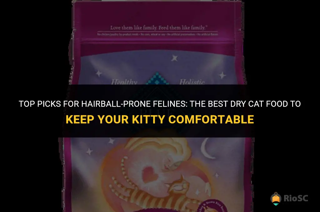 best dry cat food for hairballs