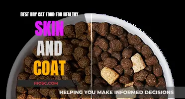 Nourishing Your Feline's Fur: Top Dry Cat Food Picks for a Healthy Skin and Coat