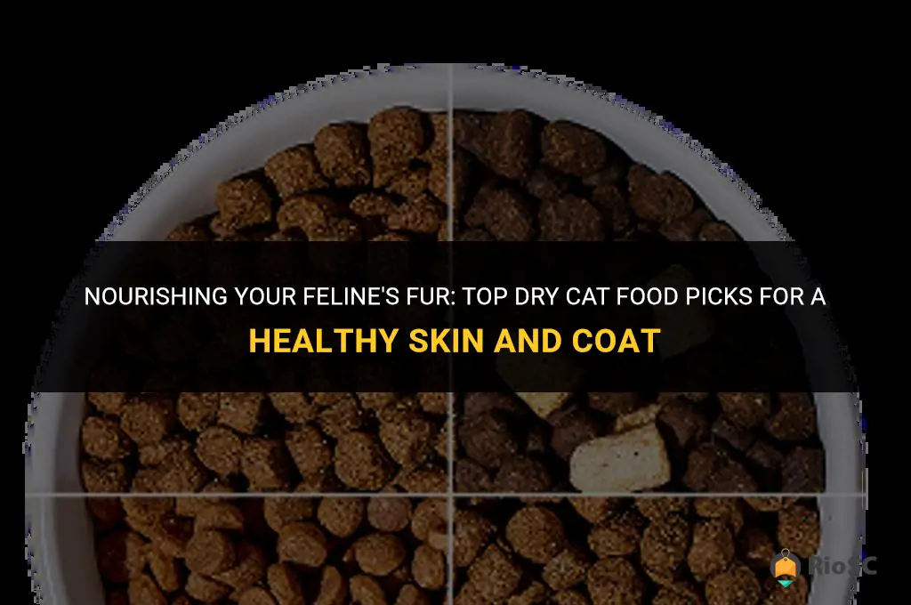 best dry cat food for healthy skin and coat