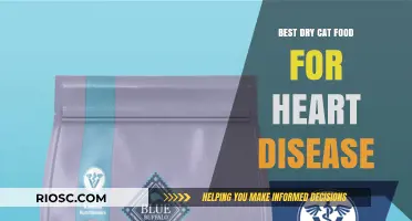 Top Picks for Heart-Healthy Dry Cat Food: Nourishing Your Feline Friend