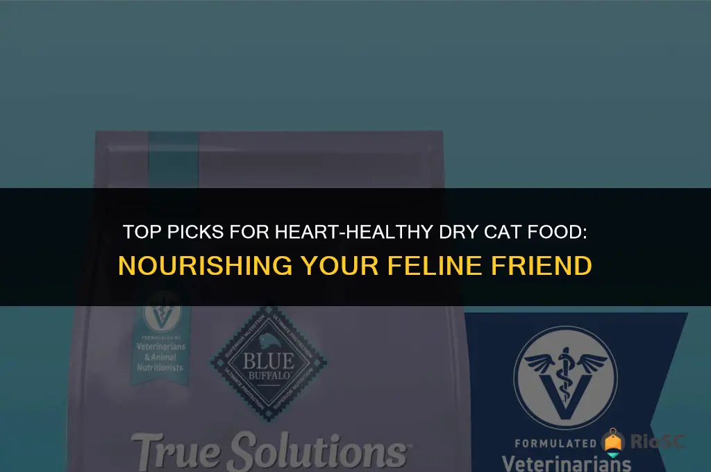 best dry cat food for heart disease