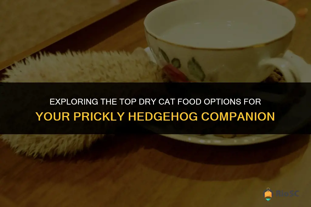 best dry cat food for hedgehogs