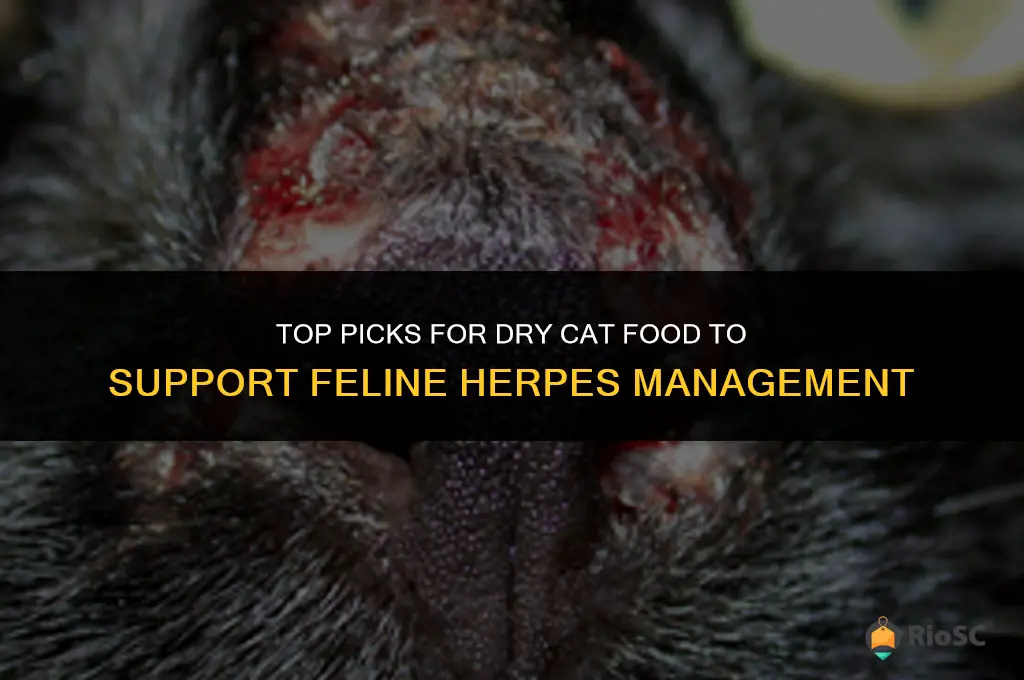 best dry cat food for herpes
