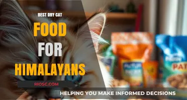 Top Picks: Premium Dry Cat Food for Your Himalayan Feline Friend