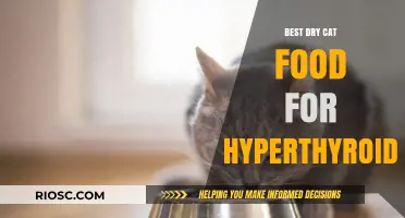 Managing Hyperthyroidism in Cats: A Guide to the Best Dry Cat Food Options