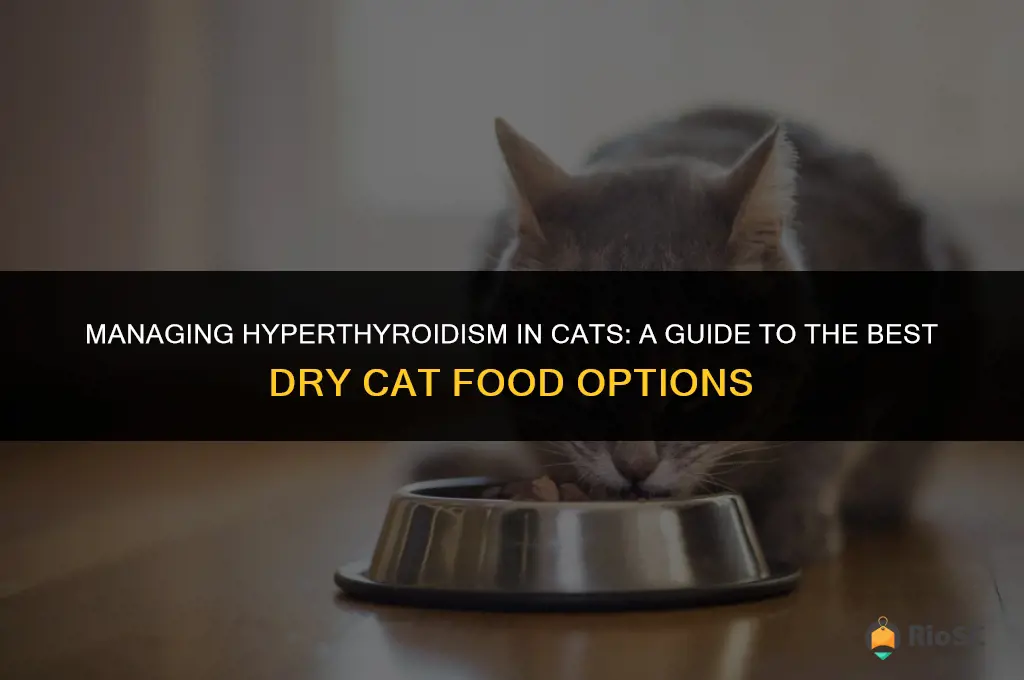 best dry cat food for hyperthyroidism