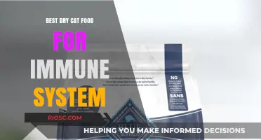Boosting Feline Immunity: Top Dry Cat Food Choices for a Healthy Immune System