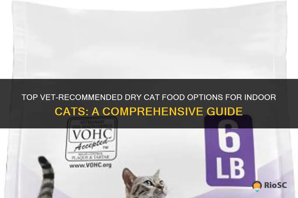 best dry cat food for indoor cats vet recommended