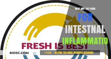 Top Picks for Soothing Dry Cat Food: Alleviating Intestinal Inflammation in Your Feline Friend