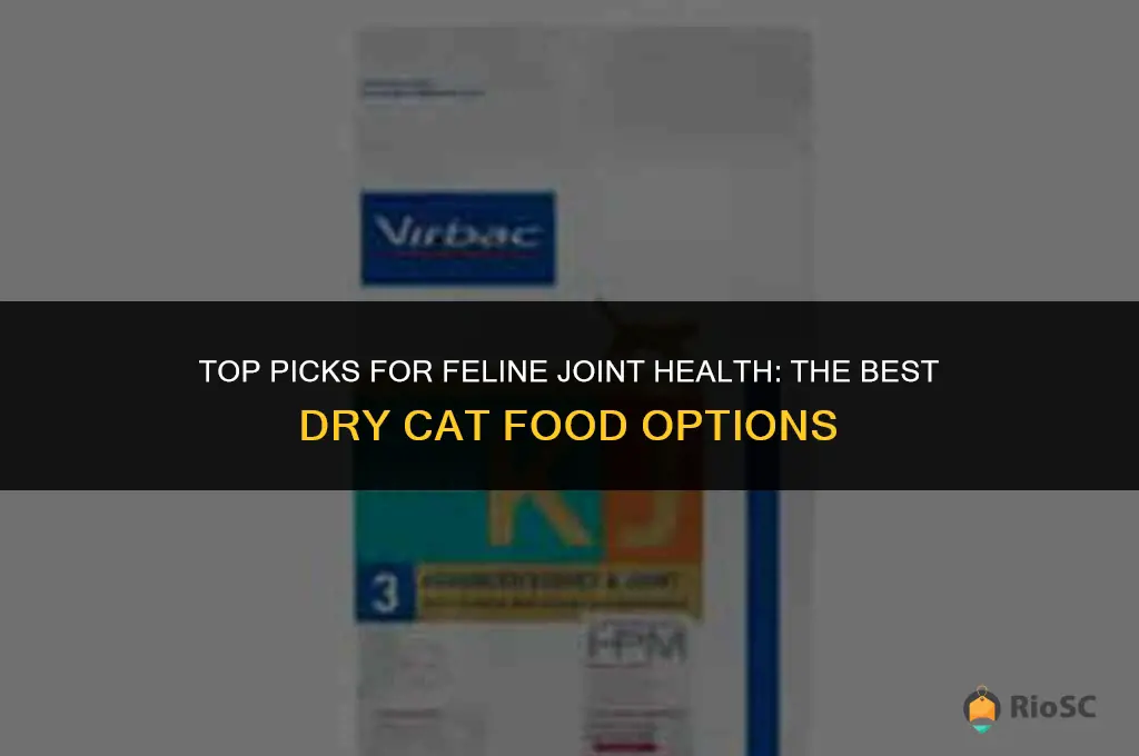 best dry cat food for joint health