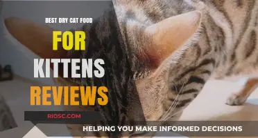 Purr-fect Nutrition: Top Dry Cat Food Picks for Your Kitten's Health and Happiness
