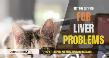 Top Dry Cat Food Options for Supporting Liver Health