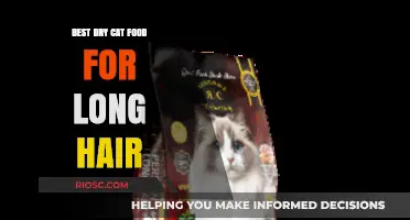 Top Picks for Nourishing Long-Haired Felines: The Best Dry Cat Food Options
