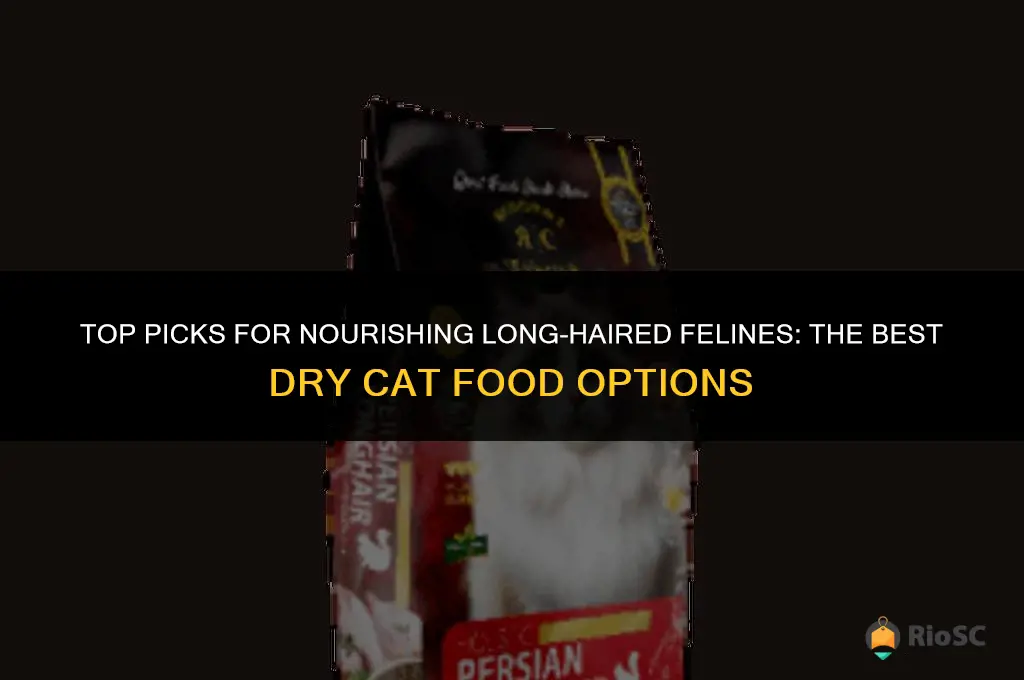 best dry cat food for long hair