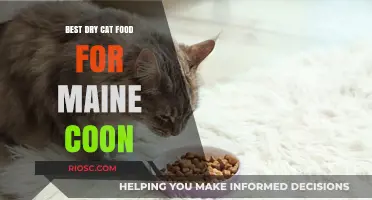 Top Picks for Maine Coon Nutrition: The Best Dry Cat Food Options