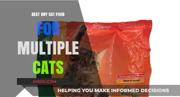 Top Picks for Feline Friends: The Best Dry Cat Food for Multi-Cat Households