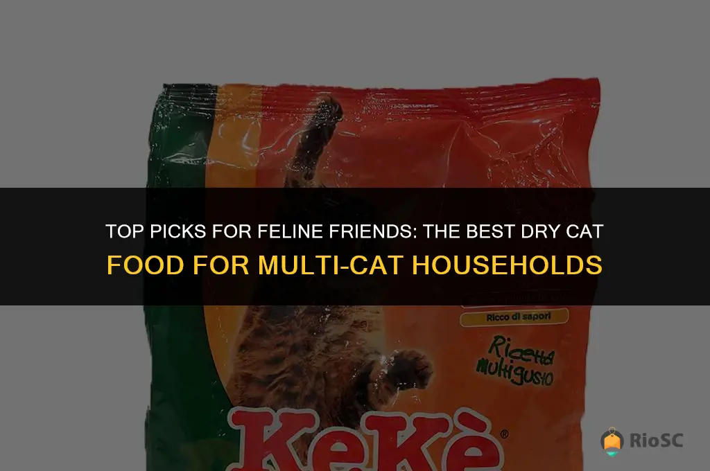 best dry cat food for multiple cats