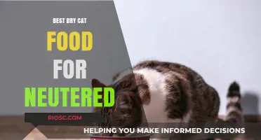 Top Picks for Neutered Cats: The Best Dry Cat Food Options
