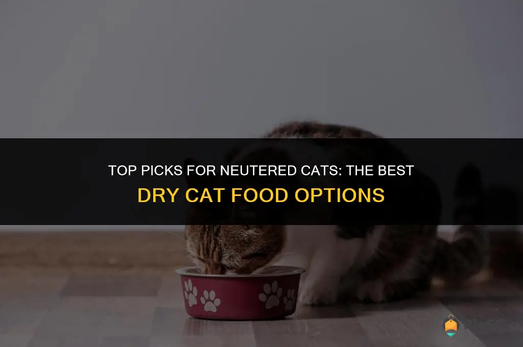 best dry cat food for neutered