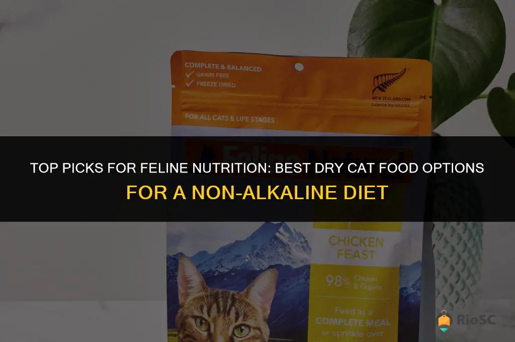 best dry cat food for non alkaline diet