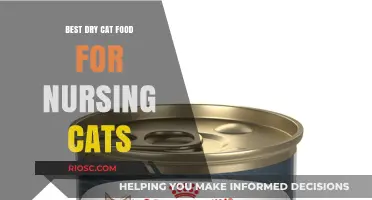 Top Picks for Nursing Cats: The Best Dry Cat Food to Support Their Health and Lactation