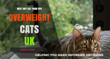 Top Picks for the Best Dry Cat Food to Help Your Overweight Feline Friend in the UK