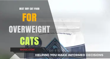 Slimming Down Your Feline Friend: Top Dry Cat Food Picks for Overweight Cats