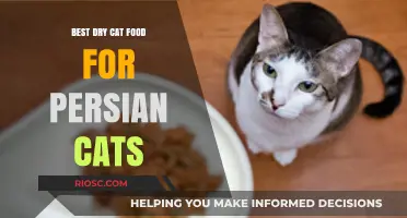 Top Picks for Persian Palates: The Best Dry Cat Food Options