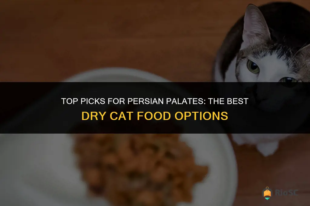 best dry cat food for persian cats