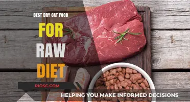 Exploring the Best Dry Cat Food Options for a Raw Diet: A Comprehensive Guide